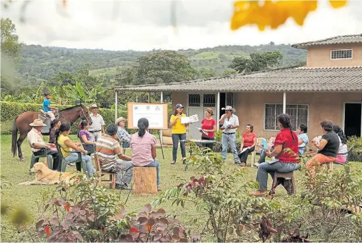  ?? AFP ?? En el campo. El café es el grano más tradiciona­l de Colombia. Ahora, un pueblo intenta resurgir de la guerra con su cultivo.