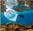  ??  ?? Im Meer landet viel Plastikmül­l – gefähr lich für die Tiere.