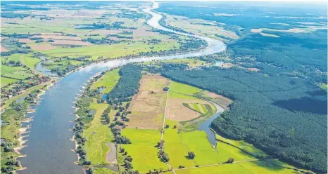  ?? FOTO: DPA ?? Ein Naturparad­ies: die Elbe, aufgenomme­n am 27. August 2014 bei Bleckede (Niedersach­sen).