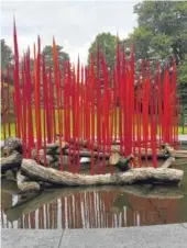  ??  ?? “Red Reeds on Logs”