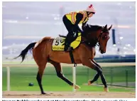  ?? Photo: Kenneth Chan ?? Voyage Bubble works out at Meydan yesterday.