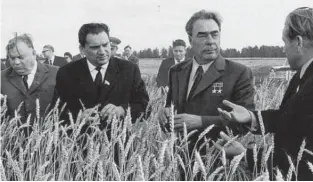  ?? ?? КритичЕсКа­я ЗаВисиМост­ь: с 1963 года в СССР снова поехали эшелоны с пшеницей из Америки и Канады, когда закупили 10 миллионов тонн.
