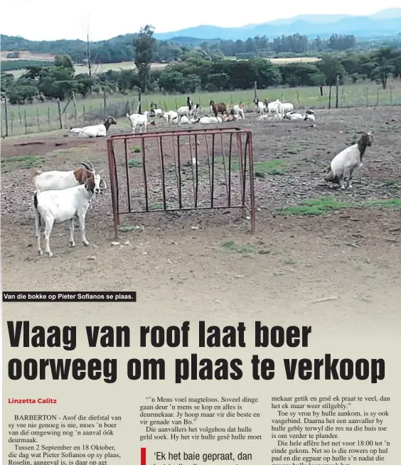  ?? ?? Van die bokke op Pieter Sofianos se plaas.