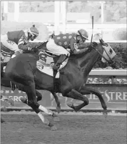  ?? LESLIE MARTIN/COGLIANESE PHOTOS ?? Garter and Tie’s lone victory came in the seven-furlong Affirmed on Sept. 1 at Gulfstream.