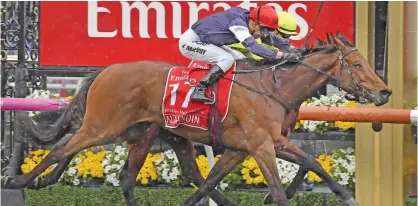  ??  ?? MELBOURNE: Almandin, front, with jockey Kerrin McEvoy board wins the Melbourne Cup horse racing at the Flemington Racecourse in Melbourne, Australia, yesterday. Heartbreak City, rear, came second. — AP