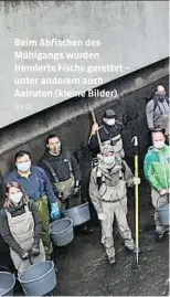  ?? AFV (3) ?? Beim Abfischen des Mühlgangs wurden Hunderte Fische gerettet – unter anderem auch Aalruten (kleine Bilder)