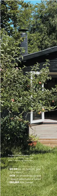  ??  ?? Fra den solrike terrassen er det utsikt til en frodig hage med både frukttraer og baerbusker.