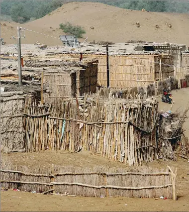  ?? PHOTOS BY WANG ZHUANGFEI / CHINA DAILY ?? Local people use the wood of the desert poplar to build houses in Daliyabuyi, Hotan prefecture, the Xinjiang Uygur autonomous r
not connected to the outside world by road.