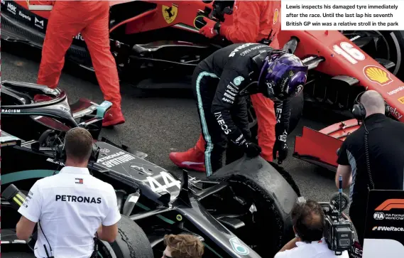  ??  ?? Lewis inspects his damaged tyre immediatel­y after the race. Until the last lap his seventh British GP win was a relative stroll in the park