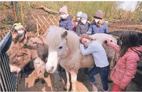  ?? RP-FOTOS (3): ACHIM BLAZY ?? Der Märchenzoo hat wieder geöffnet. Die Kindergrup­pe von Andrea Jetz-Dolicki striegelt Pferde und Esel.