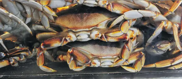  ?? WAYNE LEIDENFROS­T ?? Gfresh, an online logistics company with operations in Shanghai, Vancouver and Australia, is bringing B.C. seafood products straight to consumers in Asian markets.