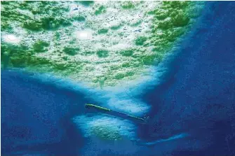  ?? Associated Press ?? A robot nicknamed Icefin operates under sea ice in Antarctica in 2020. The pencil-shaped robot is giving scientists their first look at the forces eating away at the Thwaites glacier.