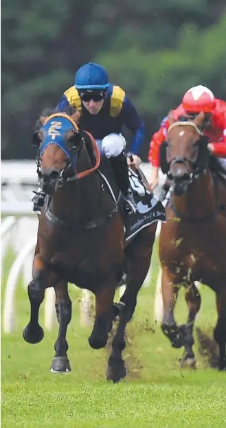  ?? Picture: AAP IMAGE ?? Agassi is headed to the Queensland Guineas at Eagle Farm in June.