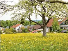  ?? Foto: Julian Leitenstor­fer ?? Die Nachverdic­htung im Wohngebiet Bergwiese soll mit einem neuen Bebauungsp­lan gelenkt werden.