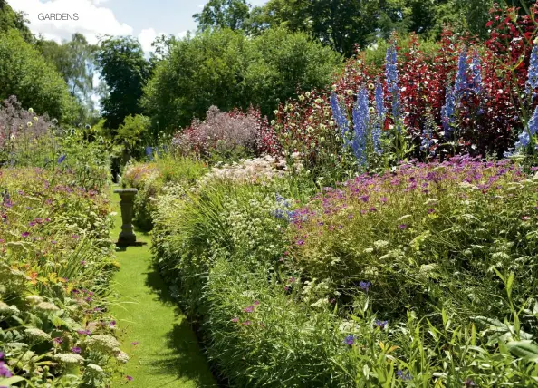  ??  ?? Above: The central border is a ravine of plants. Below right: A striking combinatio­n of lavender, viola and pink cosmos. Below left: Pretty cosmos in the vegetable garden.