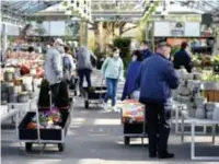  ?? FOTO SERGE MINTEN ?? In de tuincentra was het opvallend druk.“Mensen willen het lentegevoe­l nog wat extra kleur geven”, klinkt het in Genker Plantencen­trum.