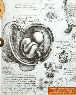  ??  ?? Da Vinci’s anatomical drawings were extremely detailed, as seen with his study on embryos