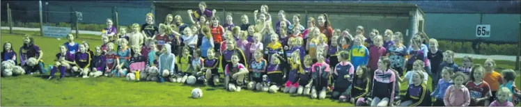  ?? ?? The St. Catherine’s Ladies first ever ladies football training.