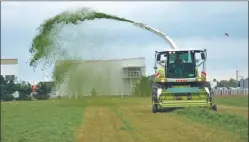  ??  ?? FORRAJES. En la jornada de Ameghino habrá paradas a campo.