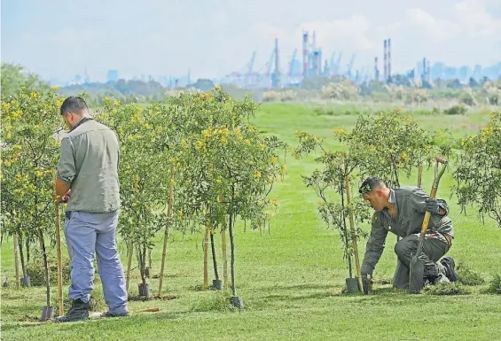  ?? DAVID FERNÁNDEZ ?? Cercano. El predio es un oasis verde a sólo diez minutos de autopista desde la Ciudad. De fondo, el Polo Petroquími­co de Dock Sud.