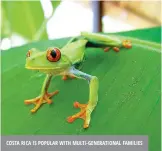  ??  ?? costa rica is popular with multi-generation­al families