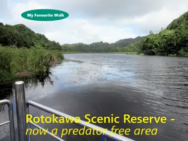  ??  ?? Rotokawa Scenic Reserve - now a predator free area Above left: A view of the lake from the pontoon.