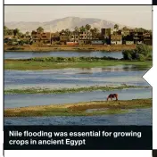  ??  ?? Nile flooding was essential for growing ng crops in ancient Egypt