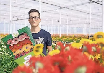  ?? RP-FOTO: PRÜMEN ?? Blumenprod­uzent „Gerbera van Megen“– hier Thomas van Megen – macht bei der „Green City Tour“mit.