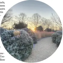  ?? Pictured, from top, RHS Garden Rosemoor; RHS Garden Wisley, Surrey; winter walk path at Anglesey Abbey ??