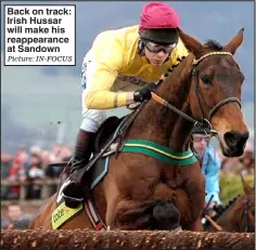  ?? Picture: IN-FOCUS ?? Back on track: Irish Hussar will make his reappearan­ce at Sandown