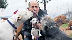  ??  ?? Head of the pack: Bayram Kozat, a Turkish shepherd turned dog walker, with his charges