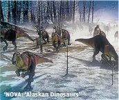  ?? ?? ‘NOVA: ‘Alaskan Dinosaurs’’
PBS