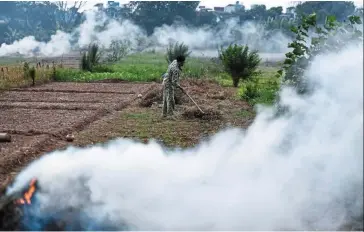  ?? — AFP ?? Alternativ­e suppliers: A farmer prepares to burn rice straws and grass after a harvest in a field in Hanoi. India’s rice export restrictio­ns will encourage buyers to shift to rivals such as Vietnam and Thailand.