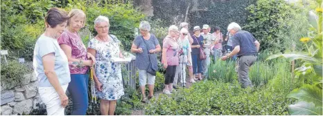  ?? FOTO: PRIVAT ?? Ein Gang durch den Kräutergar­ten zeigt dessen Vielfalt.