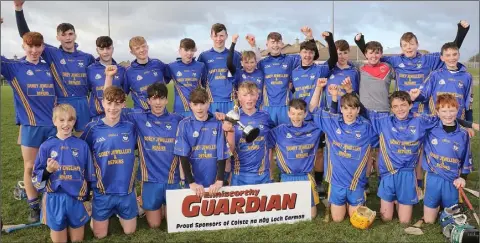  ??  ?? The victorious Ballynastr­agh Gaels squad.