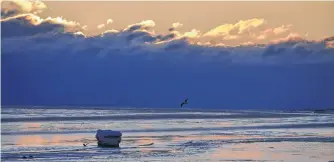  ??  ?? It's hard to say if the seagulls were flying back to shore or out to sea in this stunning sunrise photo. Tim Lawrence was out along the Amherst Shore just as the early morning sun frosted the tops of clouds with a golden glow.