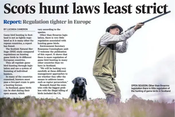  ??  ?? OPEN SEASON: Other than firearms legislatio­n there is little regulation of the hunting of game birds in Scotland