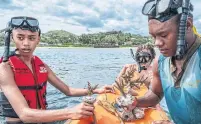  ??  ?? Sakiusa Raiyawa, right, shows young tourists how to help rejuvenate coral stems at Outrigger Fiji Beach Resort in Sigatoka.