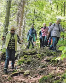  ??  ?? Gut aufpassen, hieß es bei manchen Waldpassag­en.