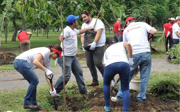  ?? CORTESÍA ?? Miles de voluntario­s participar­on del proyecto “Una Nueva Sabana”, coordinado­s por Scotiabank y el Icoder.