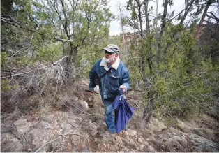  ??  ?? Wyant carries a western diamondbac­k rattlesnak­e back into the wild for release on Thursday using a pillowcase. A family in Pajarito Acres was shocked to find the snake in their yard a week before — especially so early in the year — and called Wyant for...