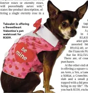  ?? ?? Takealot is offering a Sweetheart Valentine’s pet waistcoat for R309.