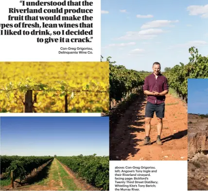  ??  ?? above: Con-Greg Grigoriou. left: Angove’s Tony Ingle and their Riverland vineyard. facing page: Bickford’s Twenty Third Street Distillery; Whistling Kite’s Tony Barich; the Murray River.