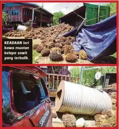  ??  ?? KEADAAN lori bawa muatan kelapa sawit yang terbalik.