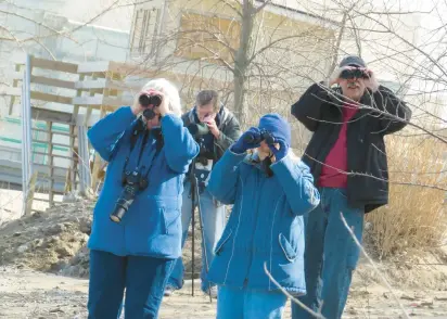  ?? KAREN SLAGER ?? Members of the Sand Ridge Audubon Society participat­e in a bird count on the last day of 2022. The data they collected is being compiled to send to the National Audubon Society, along with data collected throughout the country.