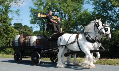  ?? Photograph: Samuel Smith's / Facebook ?? The shire horses usually deliver barrels to pubs.