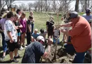  ?? SARA WAITE — JOURNAL-ADVOCATE ?? Parks employees plant an Ohio buckeye tree in Pioneer Park as Merino fifth graders watch during the city of Sterling’s 2022 Arbor Day celebratio­n. This year’s celebratio­n will take place Friday, April 26, at Overland Trail Museum.