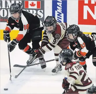 ?? CLIFFORD SKARSTEDT EXAMINER ?? Peterborou­gh FCI Windows Atom AA Petes' Nole Faulkner fights for the puck between Orangevill­e's Cole Mulder, left, and Conner Cristan on Saturday at the Memorial Centre.