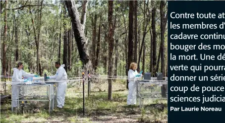  ??  ?? En Australie, le site AFTER permet d’étudier la décomposit­ion de cadavres humains en milieu naturel.
• IMAGE : ANNA ZHU