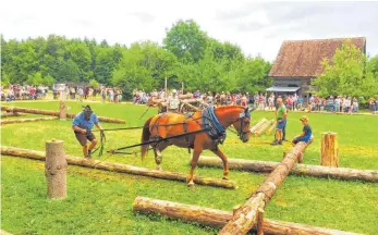  ?? FOTO: A. GRÜNER ?? Im Parcours zeigen Fuhrmänner und die Pferde ihr Geschick.